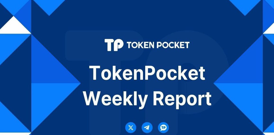 tp官方下载安装app 如何通过TP官网下载安卓2025最新版提升决策质量